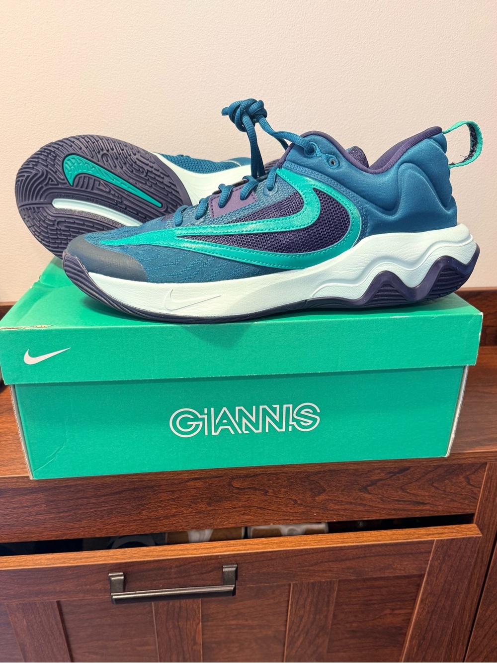 Nike Giannis Men’s size 12 NEW!